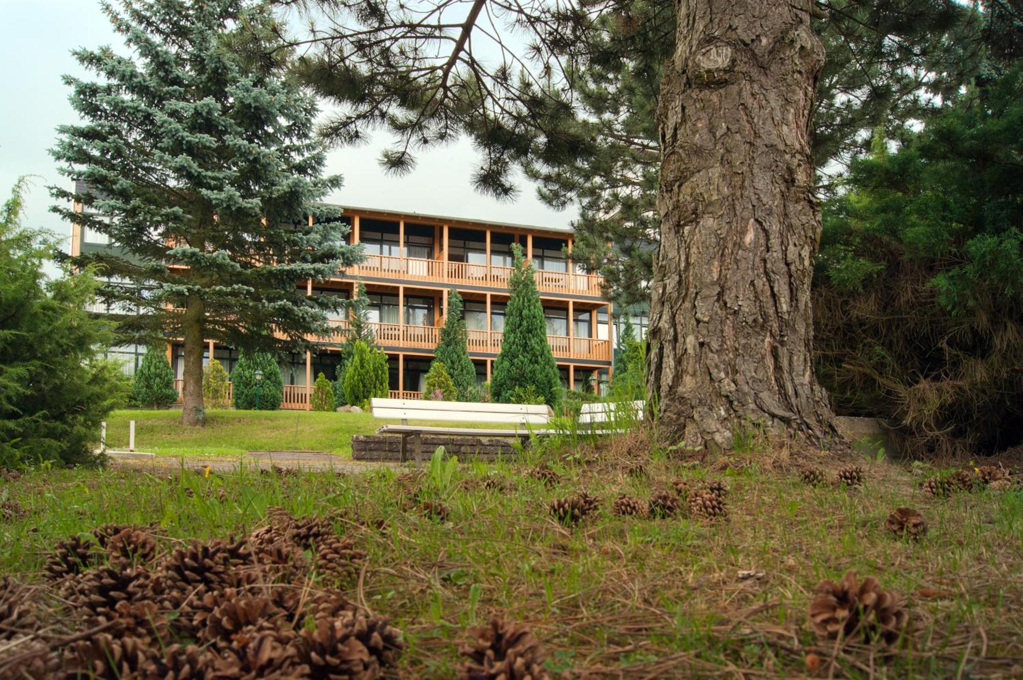 Landhotel Harz Thale Exteriör bild