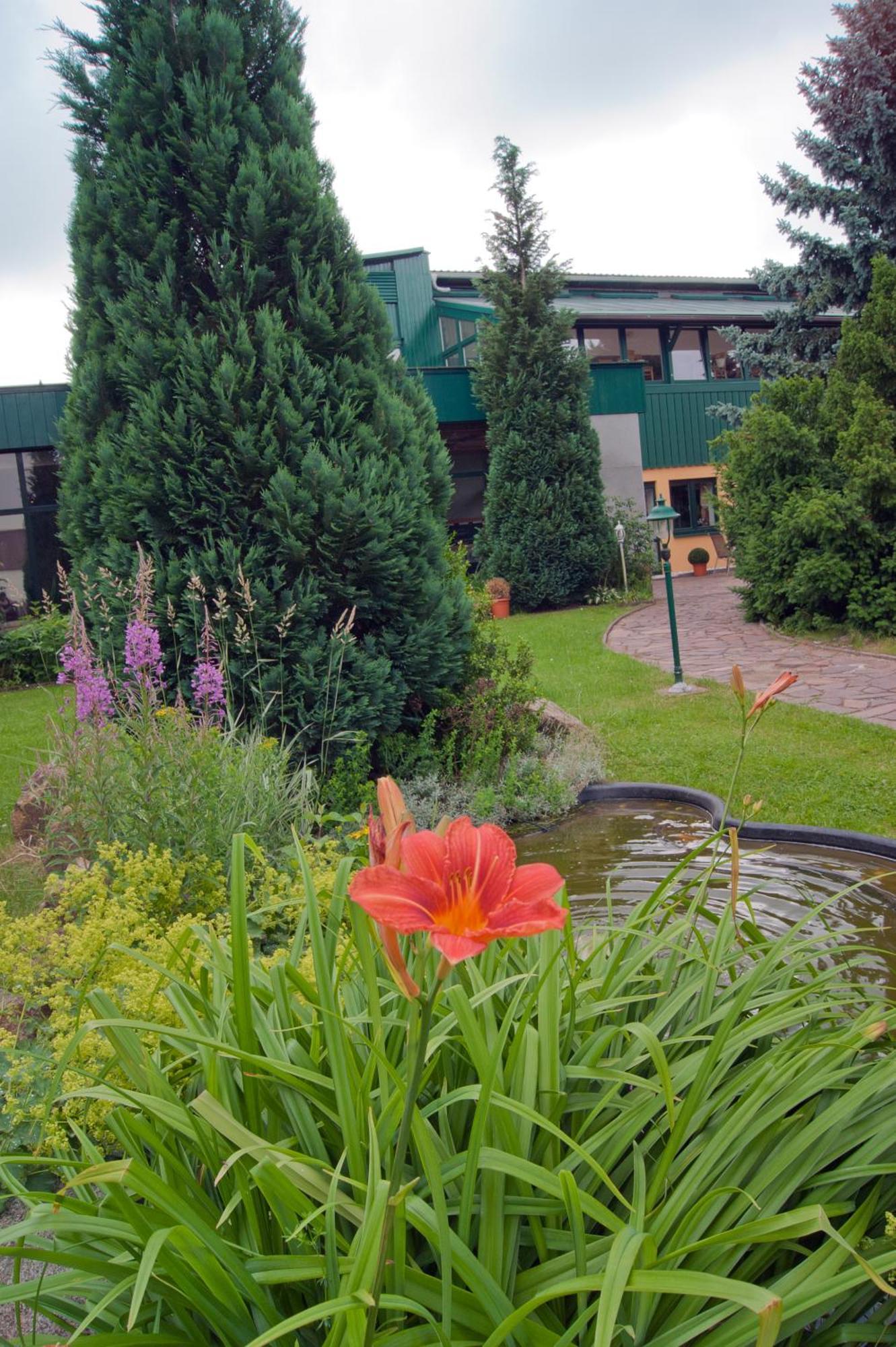 Landhotel Harz Thale Exteriör bild